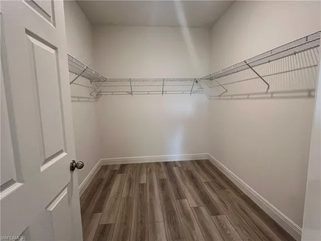 Walk in closet featuring dark wood-type flooring