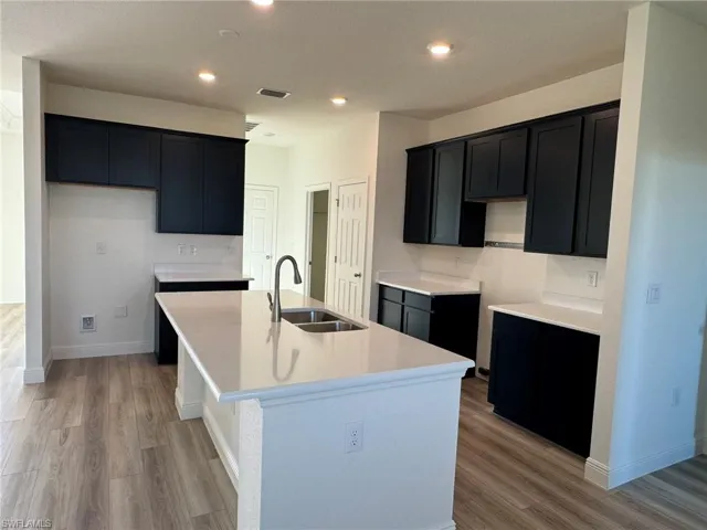 Kitchen featuring a sink, an island with sink, light wood-style floors, dark cabinets, and recessed lighting