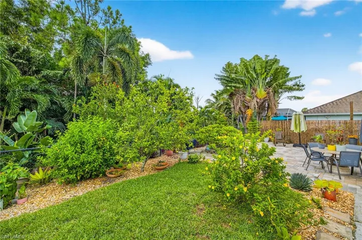 Fruit trees and tropical plants