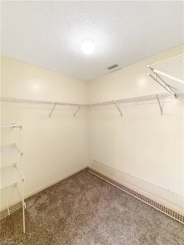 Spacious closet with carpet flooring