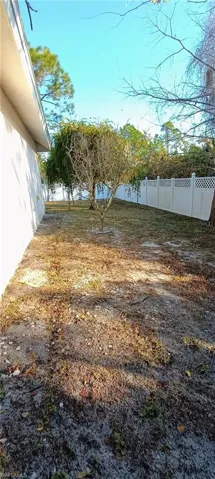 back yard - fenced
