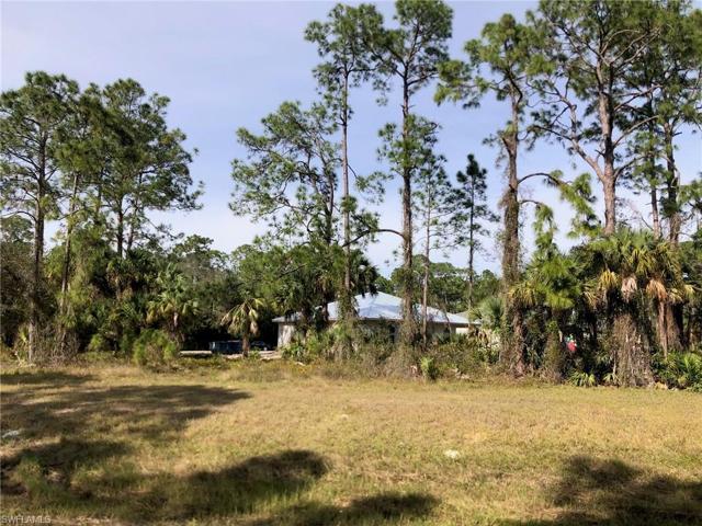 from rear greenbelt