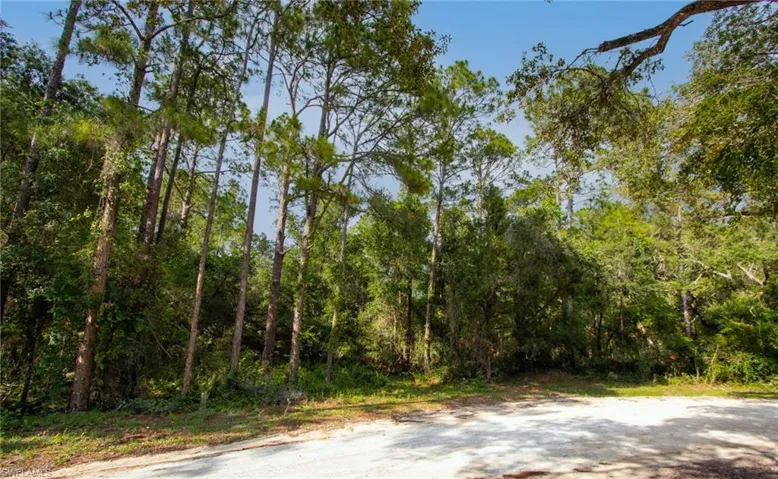 7176 Norway St, Webster, Florida 33597