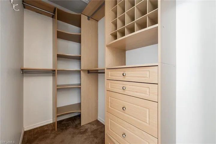 Spacious closet with dark colored carpet