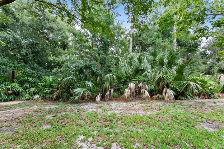 19531  Bowring Park  RD, Fort Myers, FL 33967