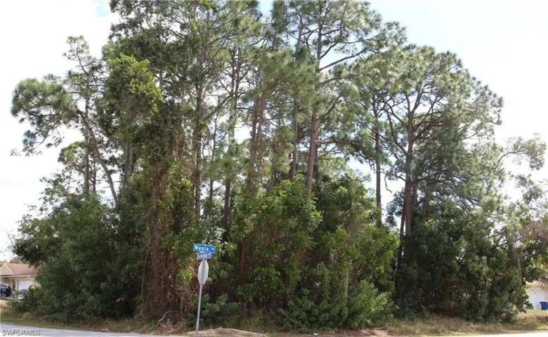 View of road