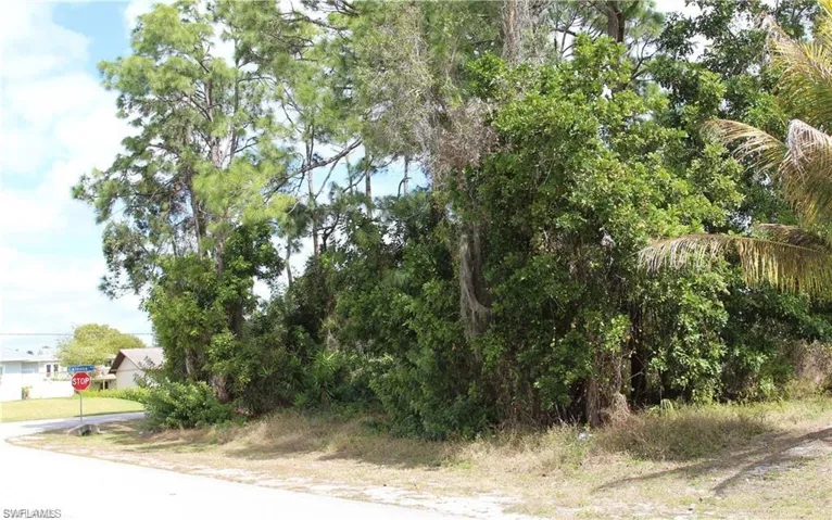 View of road