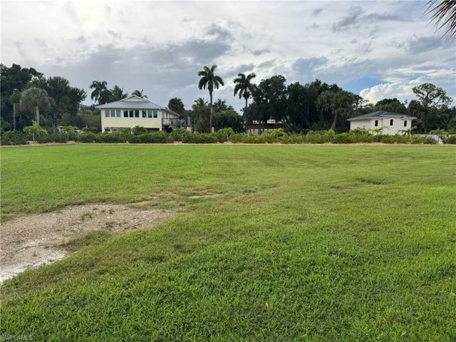 View of grassy yard with view of scattered trees