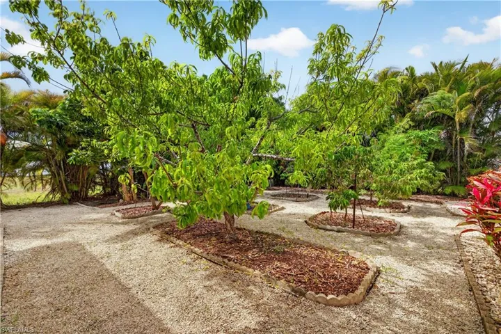 More West garden