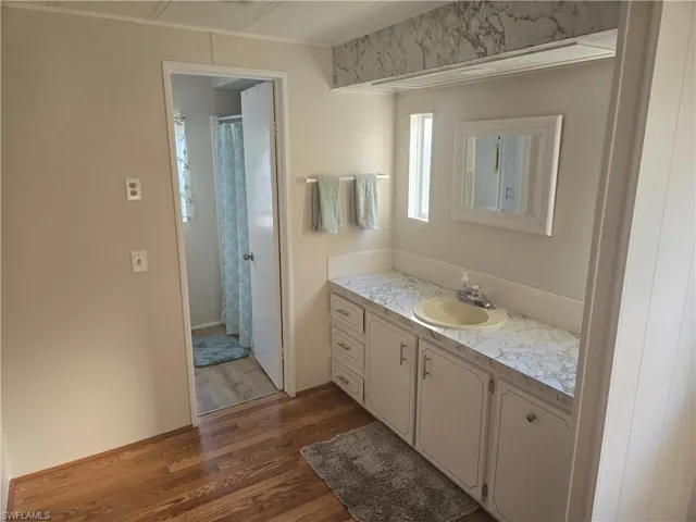 Bathroom with hardwood / wood-style floors and vanity