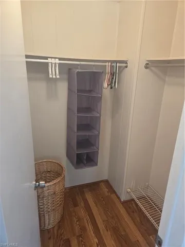 Spacious closet featuring dark hardwood / wood-style floors