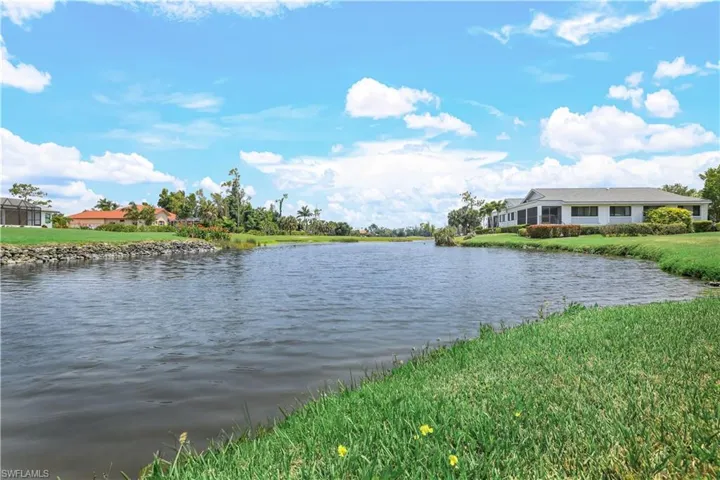 Water Ways are Back Fed From Estero Bay, Fish and Wildlife Everywhere!