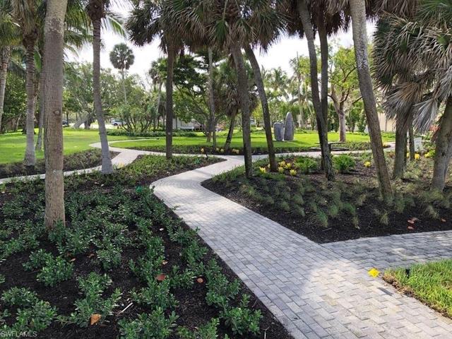 Park Shore