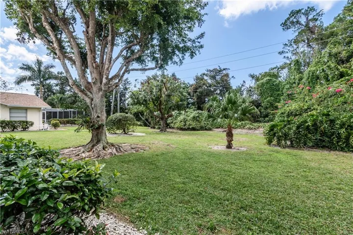 View of yard