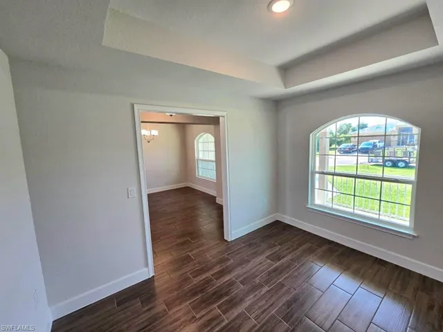 Empty room featuring a healthy amount of sunlight, a tray ceiling, and dark hardwood / wood-style floors