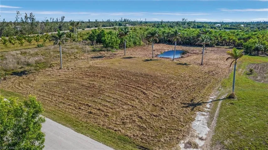 Mature Royal Palms and pond in place.
