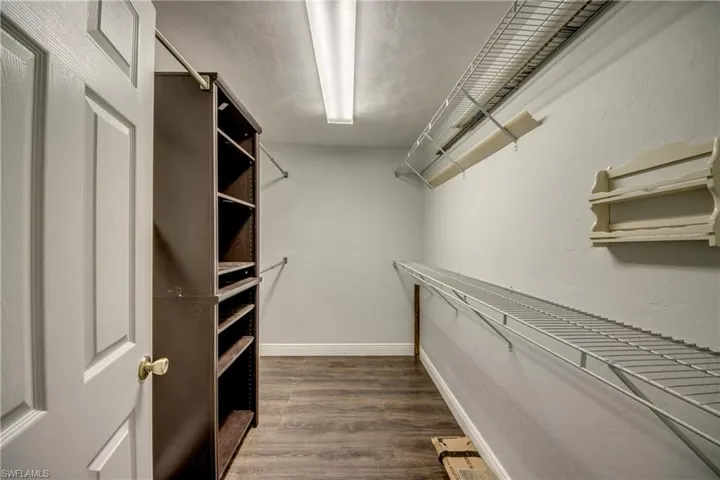 Spacious closet featuring dark wood-type flooring