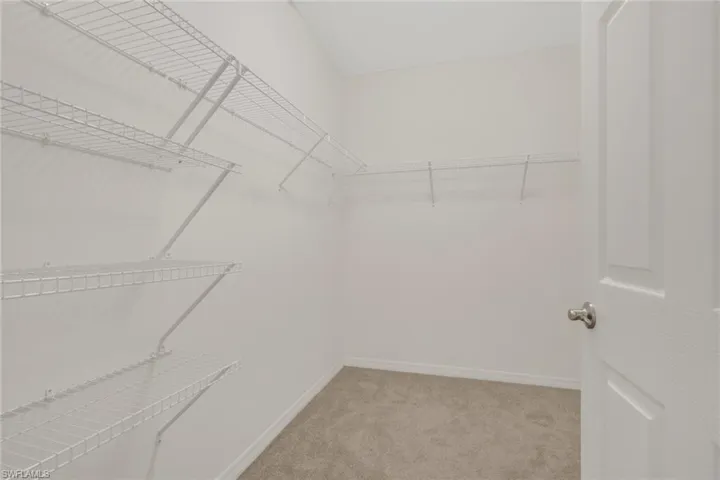 Walk in closet with light colored carpet