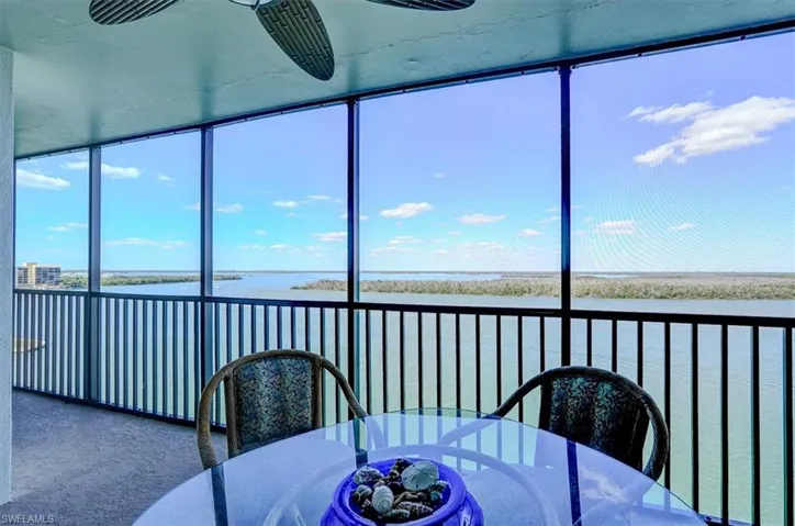 DIRECT ESTERO BAY VIEWS