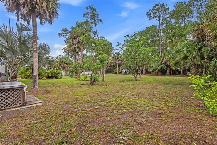 Expansive grassy yard featuring mature palm trees.