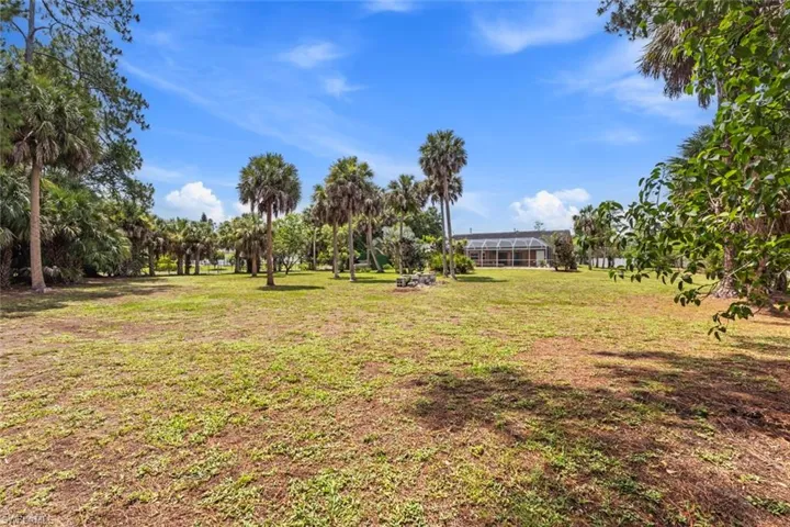 Yard featuring numerous mature palm trees.
