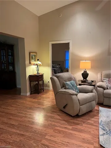 Vaulted ceilings highlight a spacious living area featuring wood-finish flooring