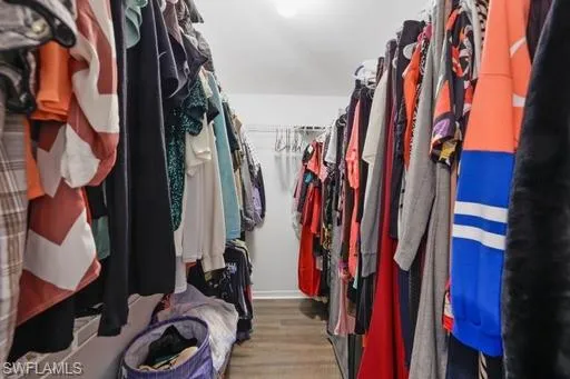 Spacious closet with hardwood / wood-style flooring