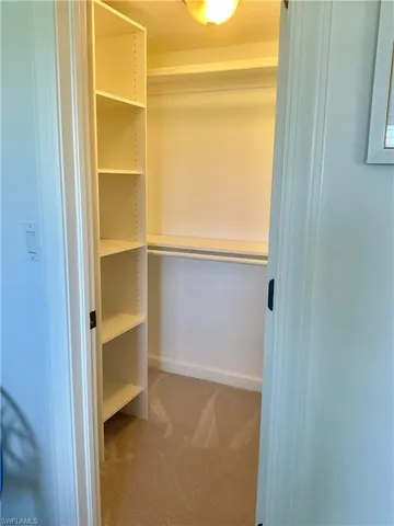Spacious closet with carpet flooring