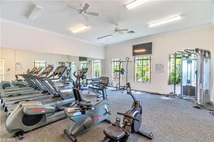 Gym featuring ceiling fan and crown molding