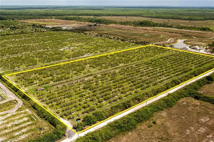 19+ acres touching Carter Rd.