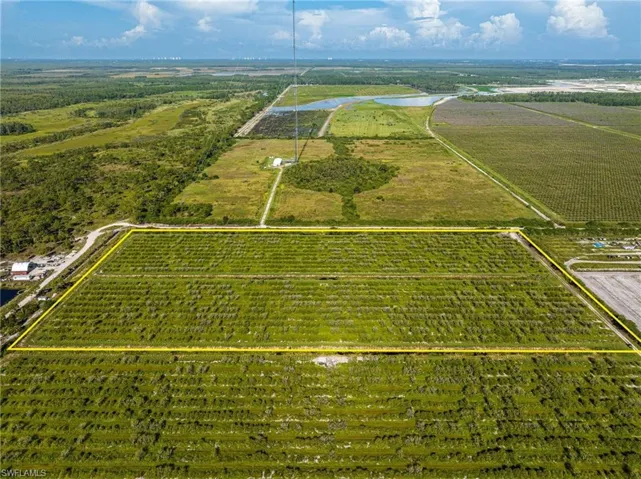 19+ acres touching Carter Rd.