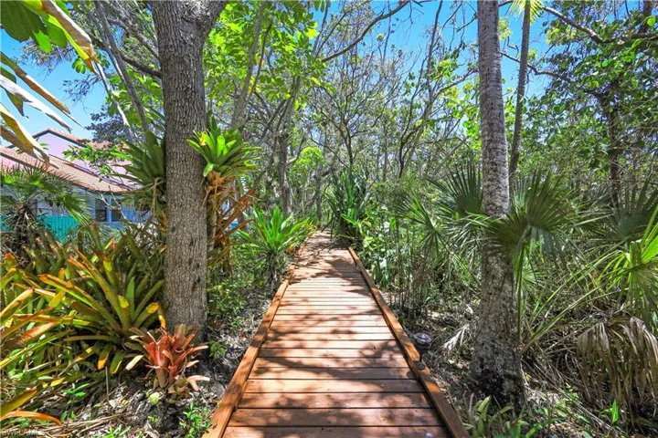 Community Walking Paths