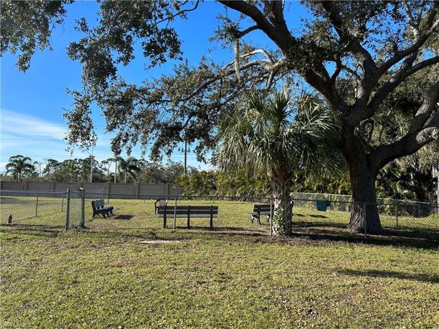 Dog Park