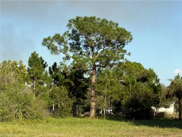 455 N Fronda St, Clewiston, Florida 33440