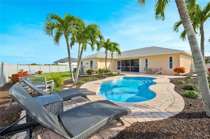 View of the Backyard Pool Oasis