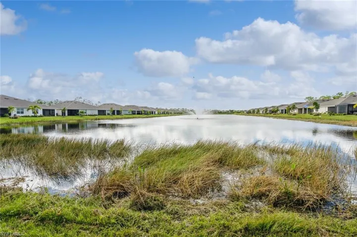 20568  Plumwood  LOOP, North Fort Myers, FL 33917