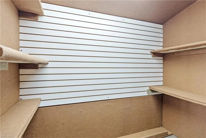 Spacious closet featuring carpet floors
