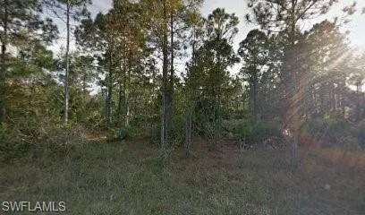 View of nature