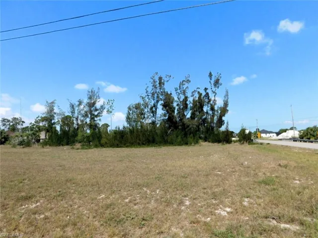 Mostly Cleared And Partially Filled Saving The New Owner Thousands Of Dollars!