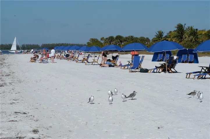 Ft Myers Beach