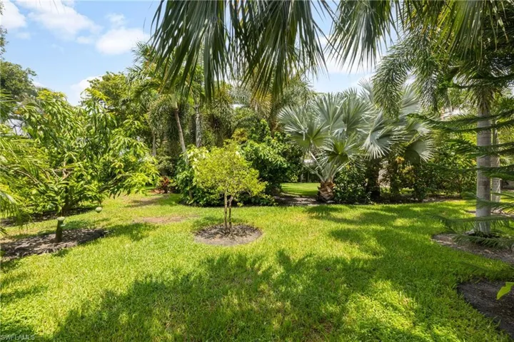View of green lawn