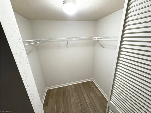 Spacious closet with dark wood-type flooring