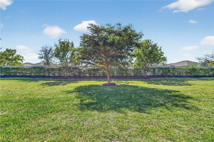 View of grassy yard