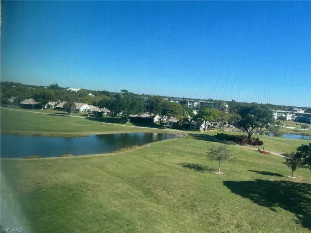 View out the back of condo