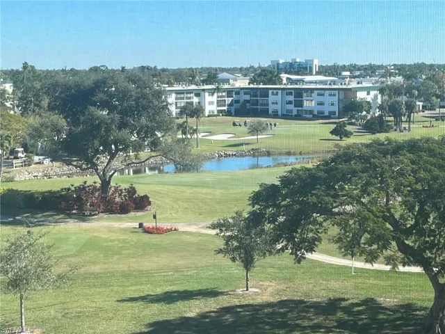 View out the Back of Condo
