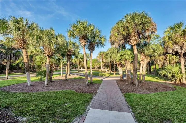 Front yard