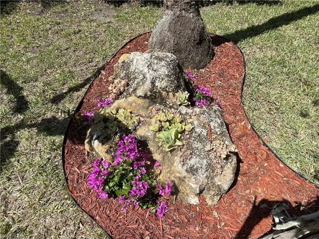 THIS BOULDER IS HOME TO A LOVELY SUCCULENT GARDEN