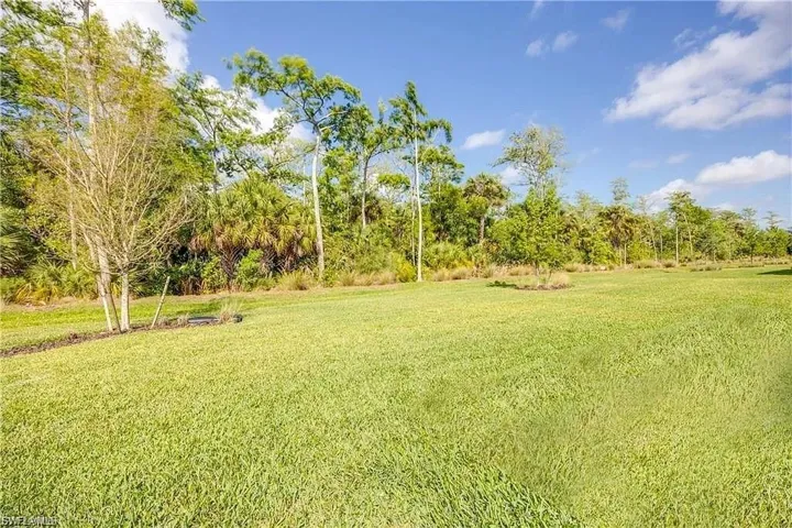 View of grassy yard