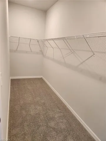 Walk in closet featuring carpet