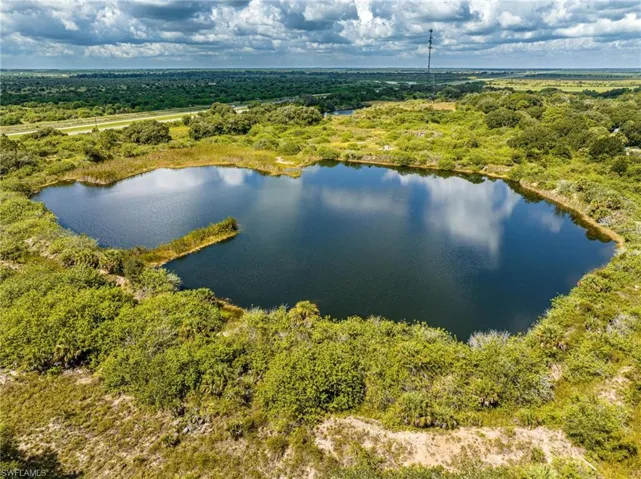 Bird's eye view of a forest and a nearby body of water